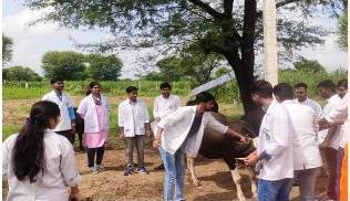 Weekly Free Veterinary Camp at village Jaisinghpura